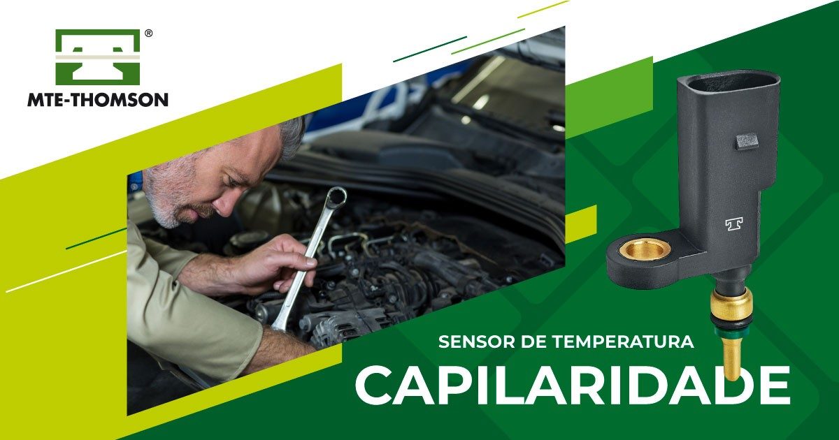 Capilaridade